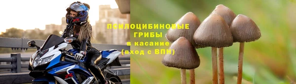 спайс Бородино