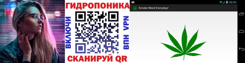 Бошки Шишки AK-47  Купить закладки  Певек 